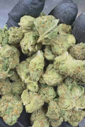 Panama Red THCa Smalls Ounces