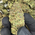 Gelato THCA Flower | 28 Grams