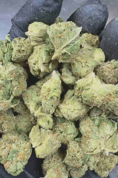 Panama Red Smalls THCa Flower