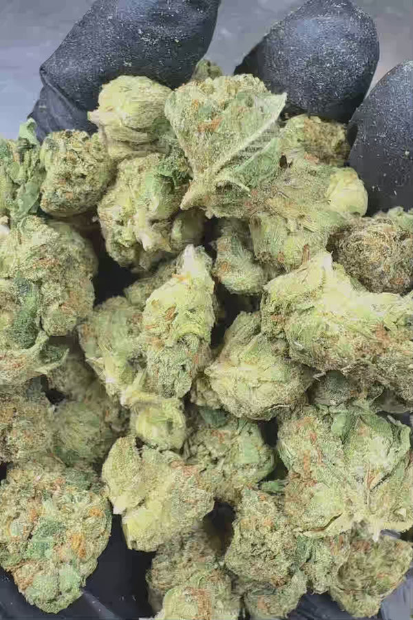 Panama Red Smalls Flower