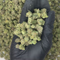 Candy Smalls THCA Flower video