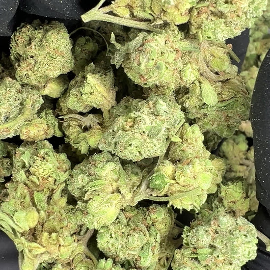 product media