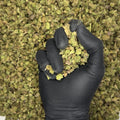 Carbon Fiber Indoor Micros Ounce video