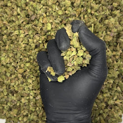 Carbon Fiber Indoor Micros Ounce video