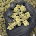 Colombian Gold Premium Indoor THCa Flower video