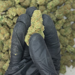 Green Crack Big THCA Flower video