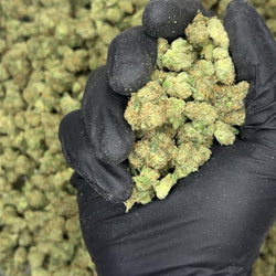 Zangria Premium Indoor THCa Flower video