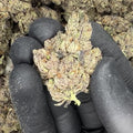 Crunchberry THCA Flower video