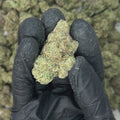 Zours Big THCA Flower video