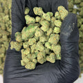 Rainbow Push Pop Smalls THCa Flower video