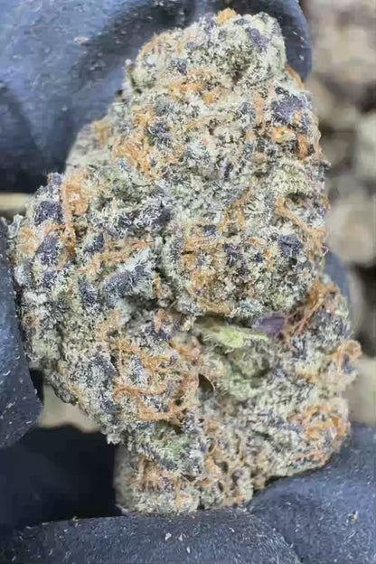 Gary Payton THCa Flower Ounce