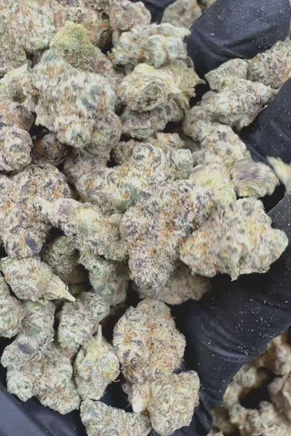 Candyland Exotic Indoor THCa Flower Ounce
