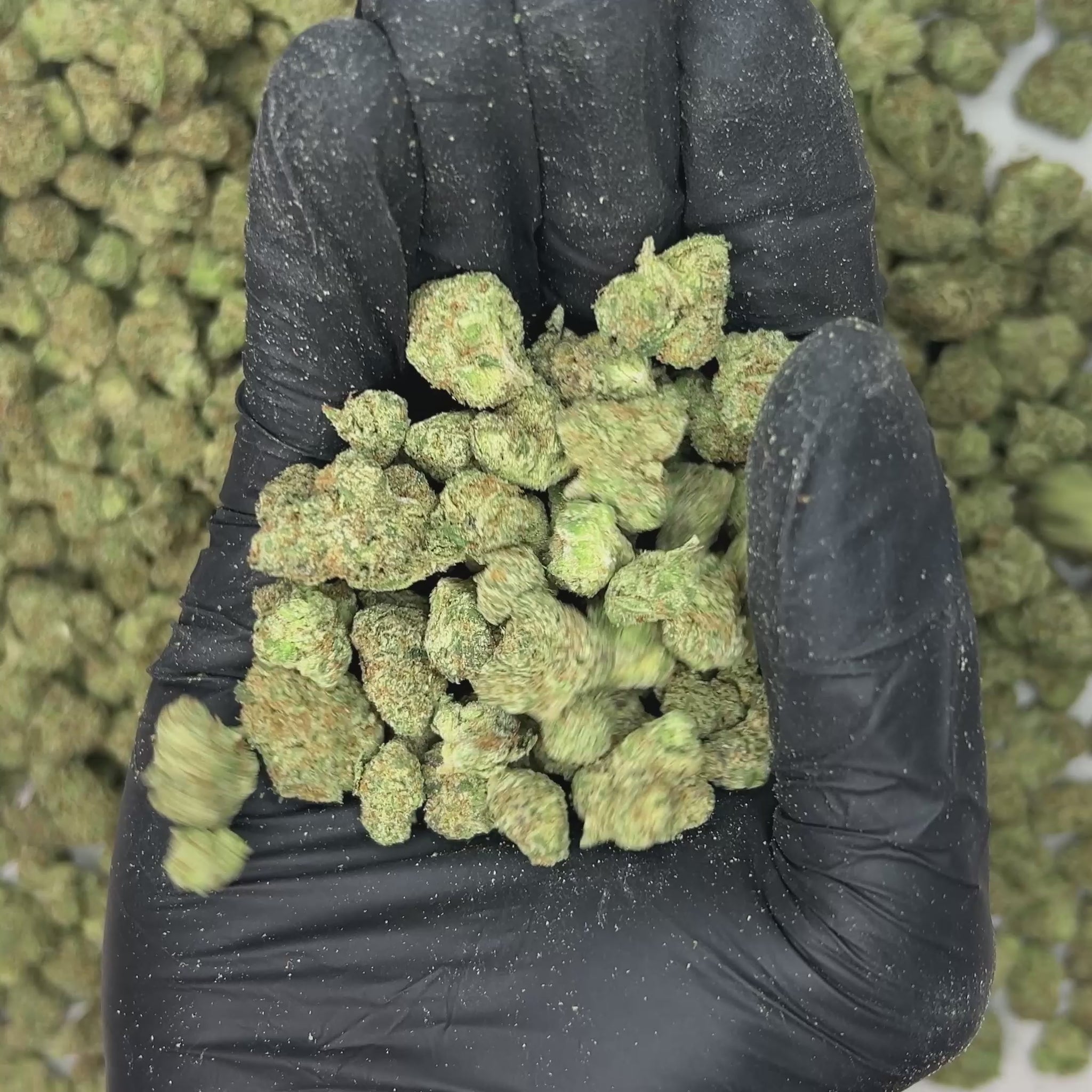 Zoap Smalls THCA Flower video