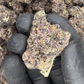 Ultraviolet THCA Flower video