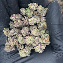 Snow Purple Punch Smalls THCA Flower video