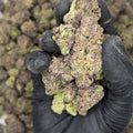 Motor Breath Exotic THCa Flower video