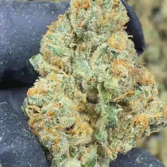 Wookie THCA Flower
