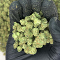 Jack Herer Smalls THCa Flower video
