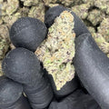 Black Amber THCA Flower video