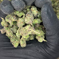 Cotton Candy Smalls video
