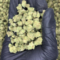 Astro Candy Smalls THCa Flower video