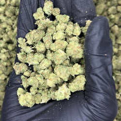 Astro Candy Smalls THCa Flower video