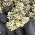 Presidential Runtz THCA Flower video