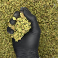 Cherry Drizzle Indoor Micros Ounce video