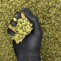 Cherry Drizzle Indoor Micros Ounce video
