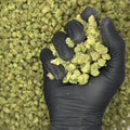 Super Jack Smalls THCa Flower video