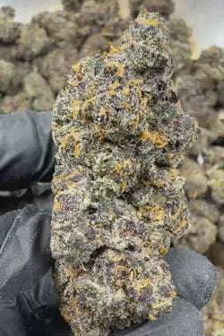 Super Boof exotic Flower