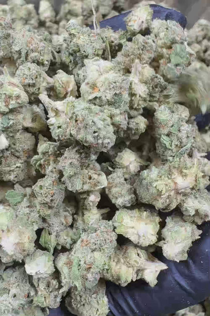 Orange Push Pop Smalls THCa Flower
