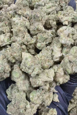 Gorilla glue smalls Flower