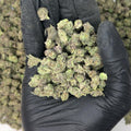 Obama Runtz Smalls THCa Flower video