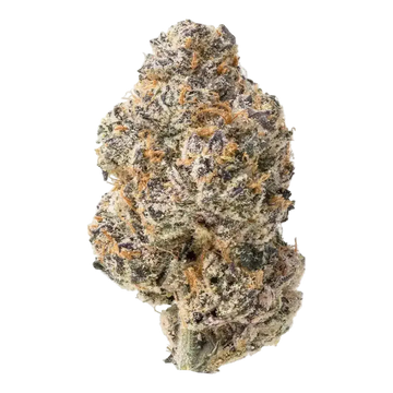 Glitter Bomb THCa Flower 