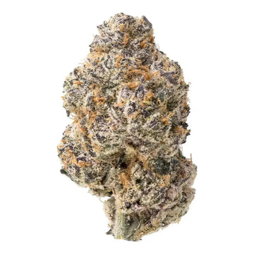 videowise-widget-68ca38451f67480057cf15dc-8682401497257