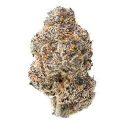 Glitter Bomb THCa Flower 