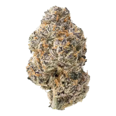 Glitter Bomb THCa Flower 