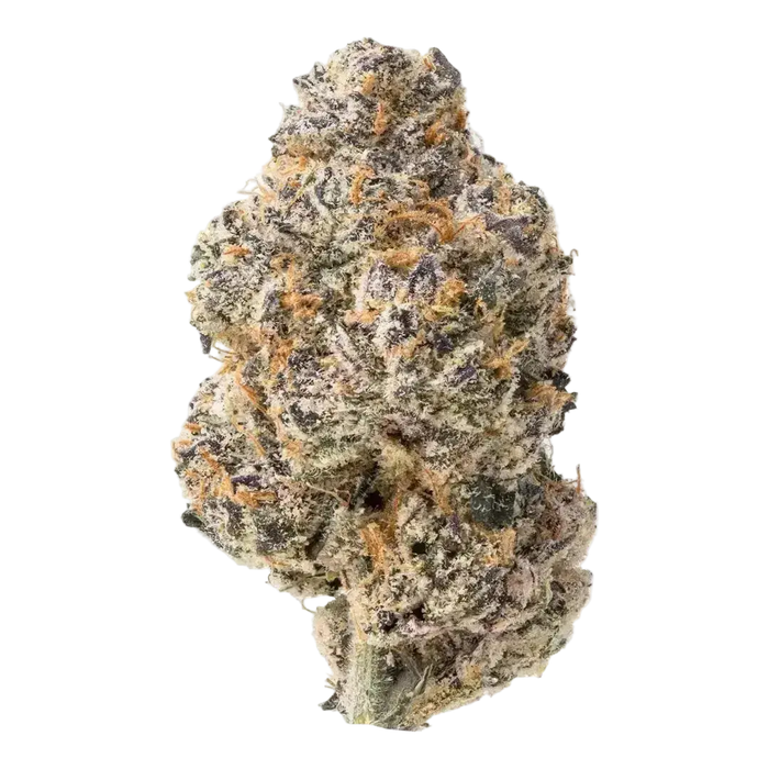 Glitter Bomb THCa Flower 