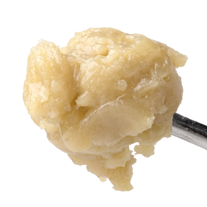 Sherbhead THCa Live Rosin