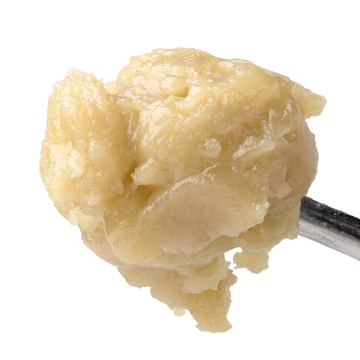 Sherbhead THCa Live Rosin