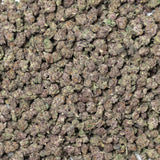 Snow Purple Punch Smalls THCA Flower
