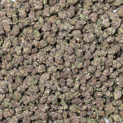 Snow Purple Punch Smalls THCA Flower 