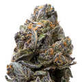 Tropical Gelato THCa Flower macro