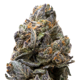 Tropical Gelato THCa Flower