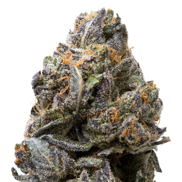 Tropical Gelato THCa Flower macro
