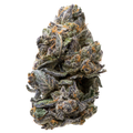 Tropical Gelato THCa Flower nug