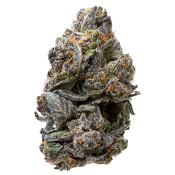 Tropical Gelato THCa Flower nug
