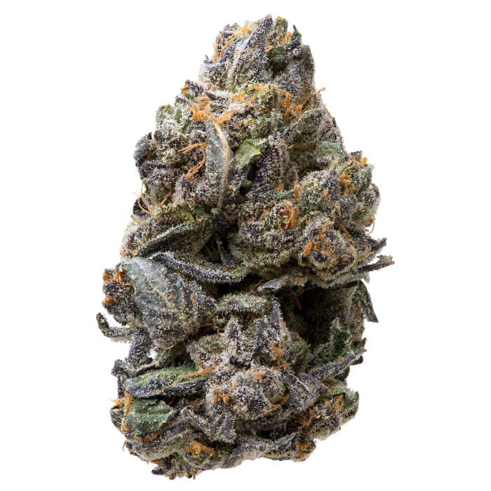 Tropical Gelato THCa Flower nug