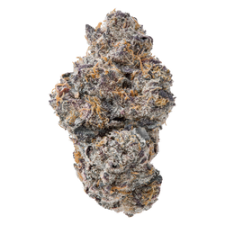Uncle Snoop THCa Flower nug